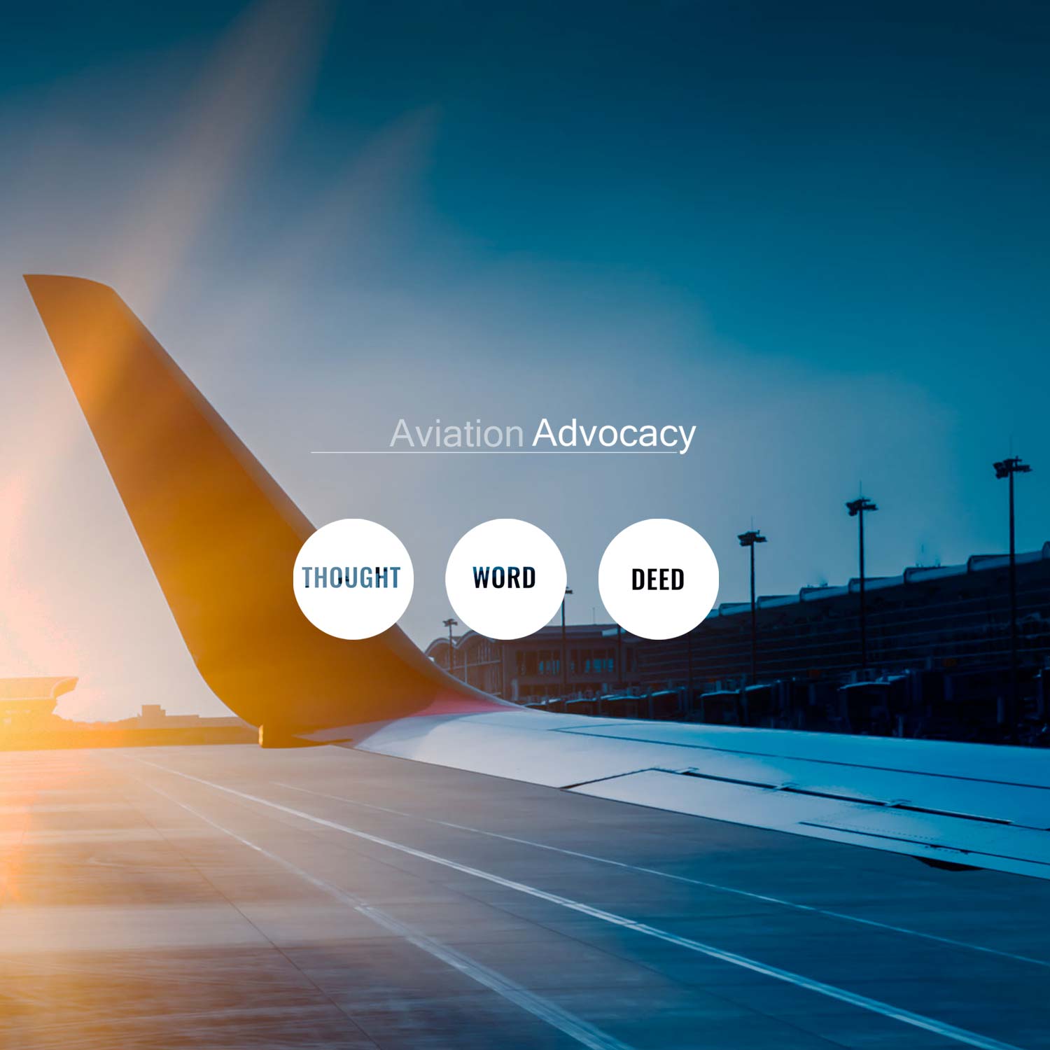 Aviation Advocady