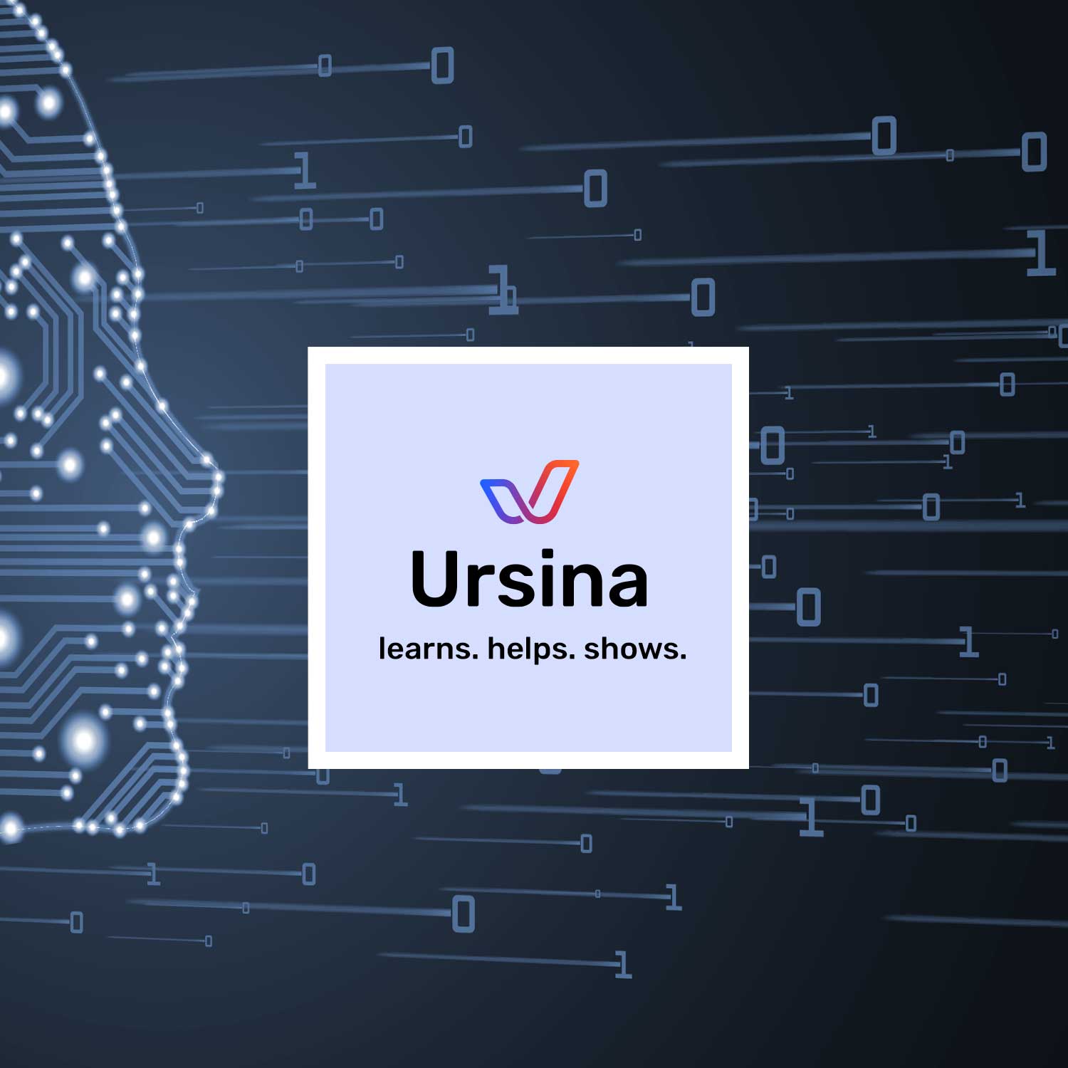 Ursina